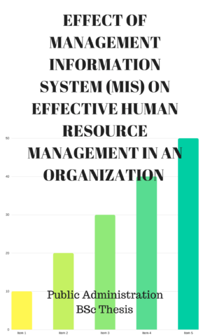 EFFECT OF MANAGEMENT OF INFORMATION SYSTEM (MIS) ON EFFECTIVE HUMAN RESOURCE MANAGEMENT IN AN ORGANIZATION