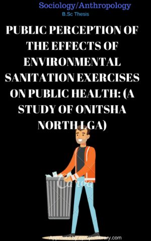 PUBLIC PERCEPTION OF THE EFFECTS OF ENVIRONMENTAL SANITATION EXERCISES ON PUBLIC HEALTH: (A STUDY OF ONITSHA NORTH LGA)