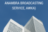 EFFECTIVE COMMUNICATION A STRATEGY FOR ENHANCING ORGANIZATIONAL PERFORMANCE (A STUDY OF ANAMBRA BROADCASTING SERVICE, AWKA)
