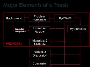 Major Elements of a Thesis in literature review