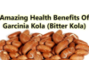 BITTER KOLA (GARCINIA KOLA) AND ITS USES and health benefits