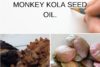 THE EXTRACTION AND CHARACTERIZATION OF MONKEY KOLA SEED OIL.