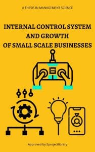 INTERNAL CONTROL SYSTEM AND GROWTH OF SMALL SCALE BUSINESSES