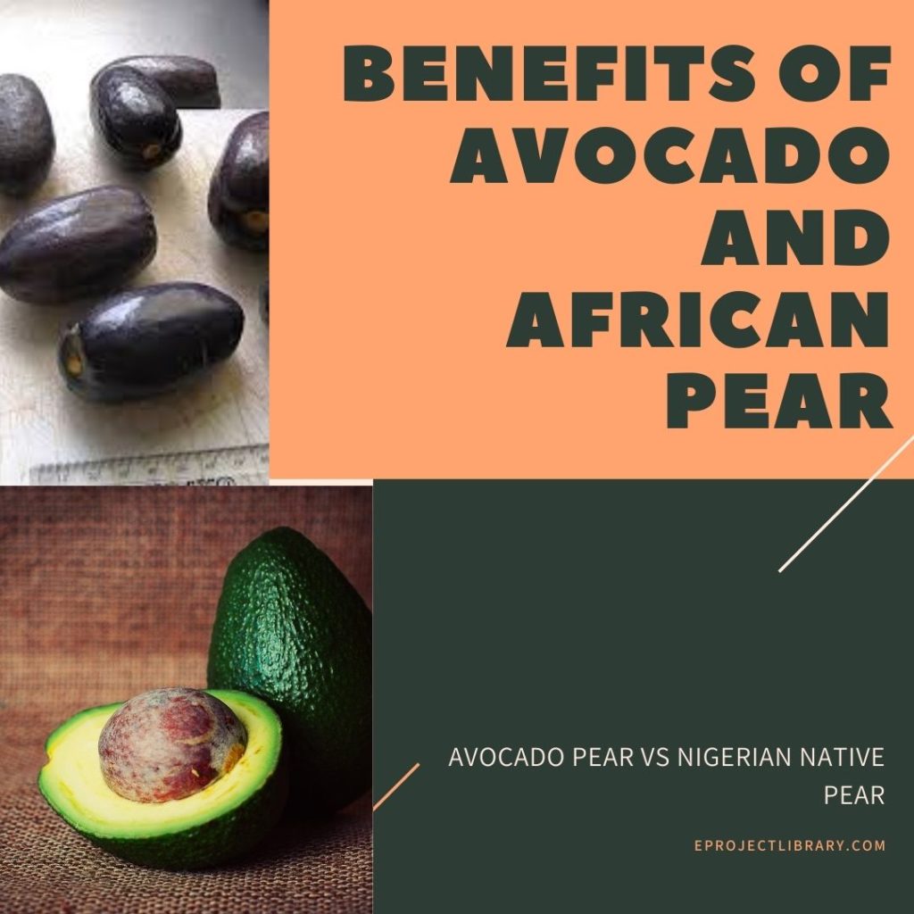 Health Benefits of Avocado pear and African pear, Nigerian native pear