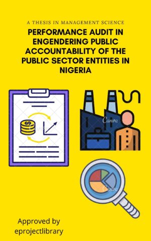 PERFORMANCE AUDIT IN ENGENDERING PUBLIC ACCOUNTABILITY OF THE PUBLIC SECTOR ENTITIES IN NIGERIA