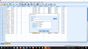 SPSS Data Input for Primary Data